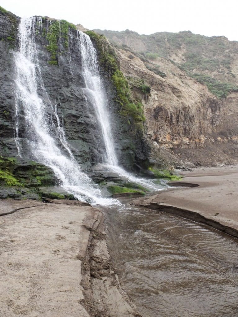 Hiking Palomarin Trailhead to Alamere Falls, Point Reyes National Seashore