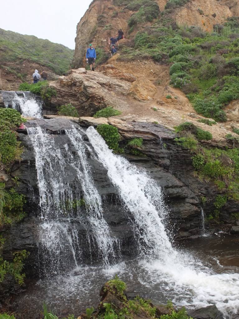 Hiking Palomarin Trailhead to Alamere Falls, Point Reyes National Seashore