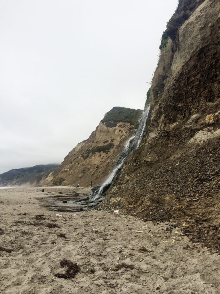 Hiking Palomarin Trailhead to Alamere Falls, Point Reyes National Seashore