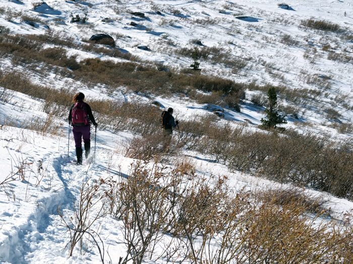 Mokelumne Wilderness snowshoeing