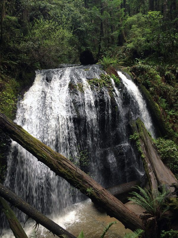 Russian Gulch State Park: Fern Canyon