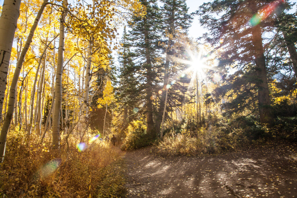 Big Cottonwood Canyon Silver Lake Fall Trip Report