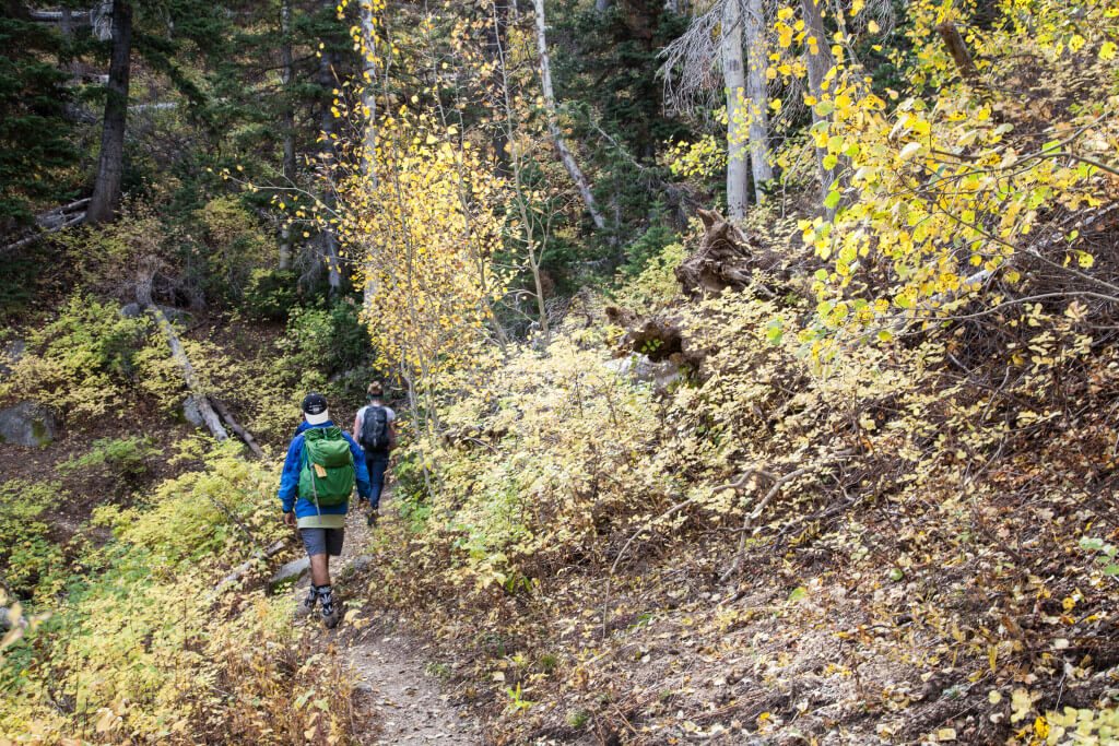 Hiking Lone Peak Trip Report