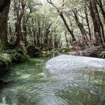 Hiking the Routeburn Track New Zealand