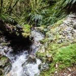 Day 3 Routeburn Track Lake Mackenzie to Divide Shelter