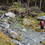 Day 3 Routeburn Track Lake Mackenzie to Divide Shelter