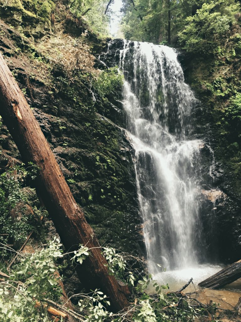 Hiking Berry Creek Falls Big Basin