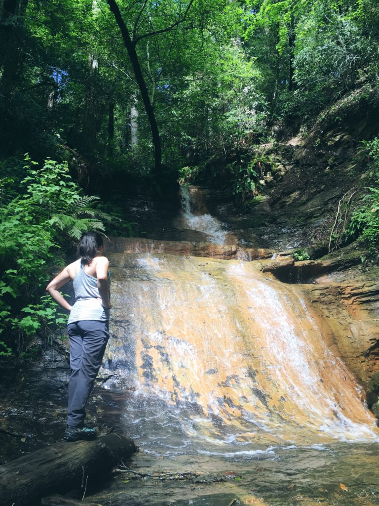 Hiking Berry Creek Falls Big Basin