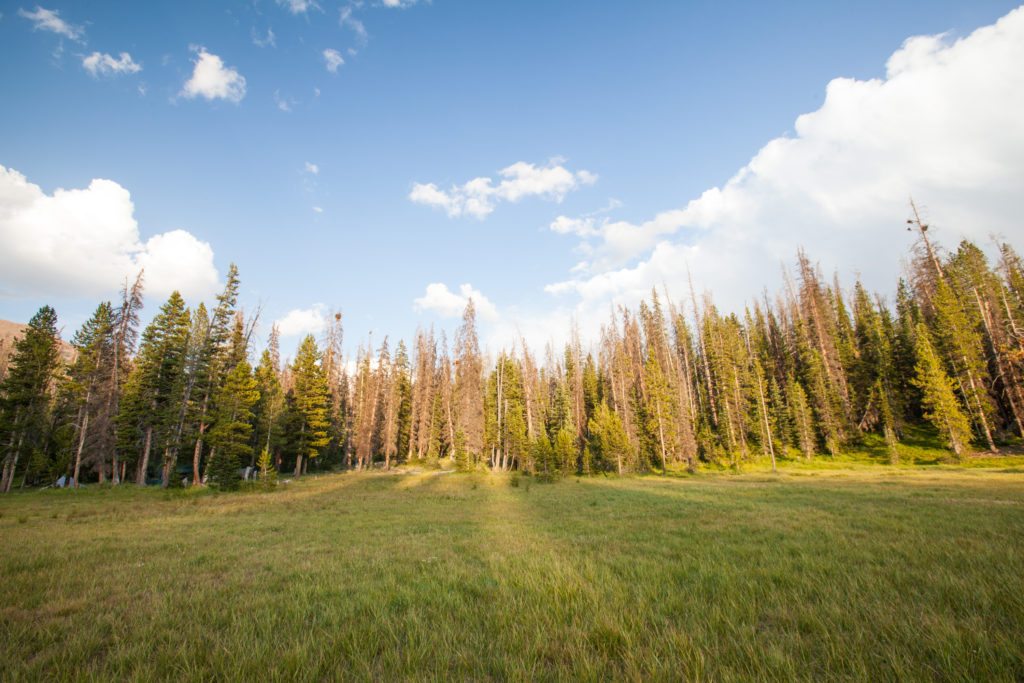 Backpacking the Uintas Highline Trail, Wilder Lake