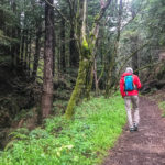 Hiking Purisima Creek Redwoods February 2017