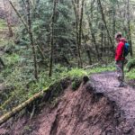 Hiking Purisima Creek Redwoods February 2017