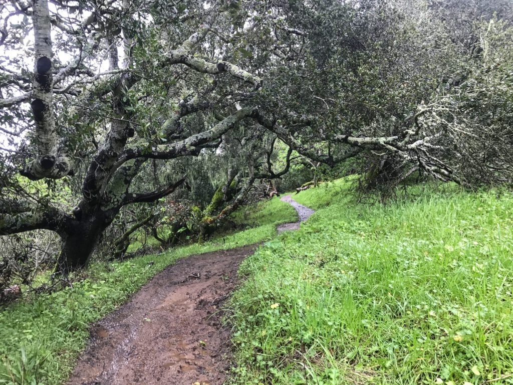 Hiking Sugarloaf Mountain, San Mateo, CA