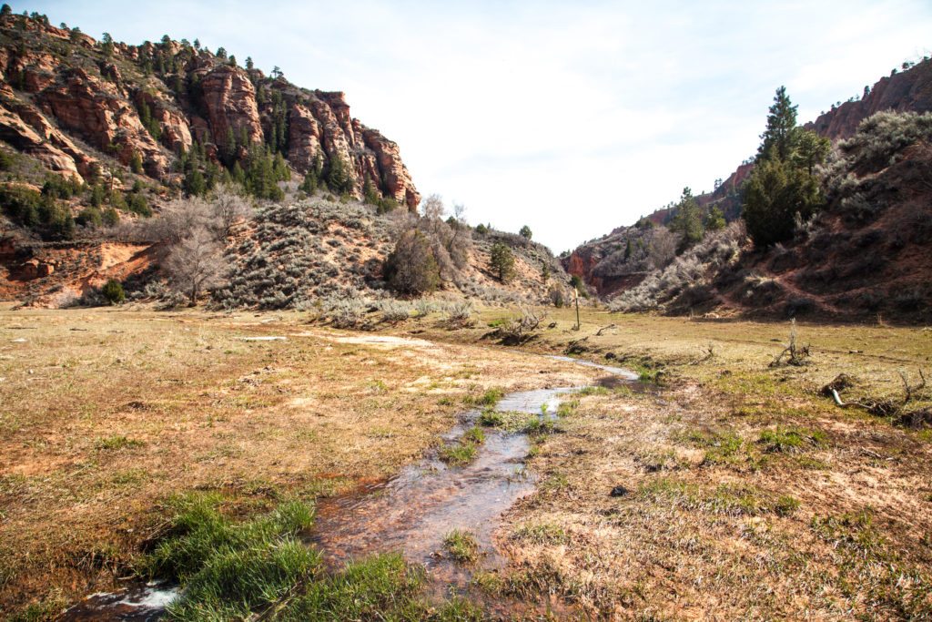 Zion Traverse Trans Zion Trek March 2017