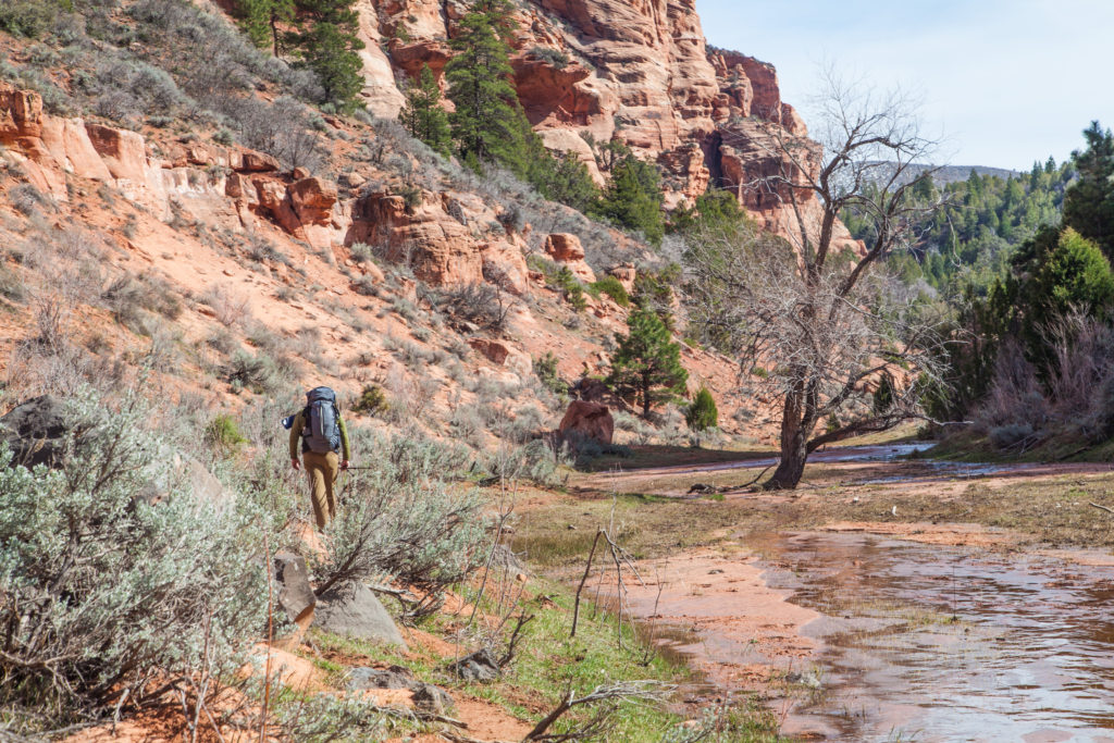 Zion Traverse Trans Zion Trek March 2017