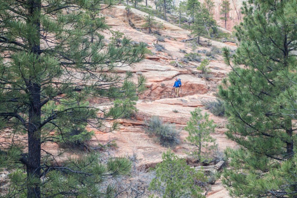 Backpacking the Zion Traverse West Rim March 2017