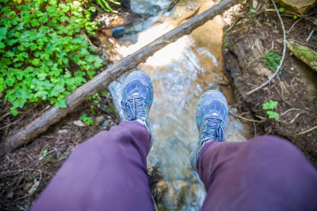 Hiking Peters Creek Loop Portola Redwoods May 2017
