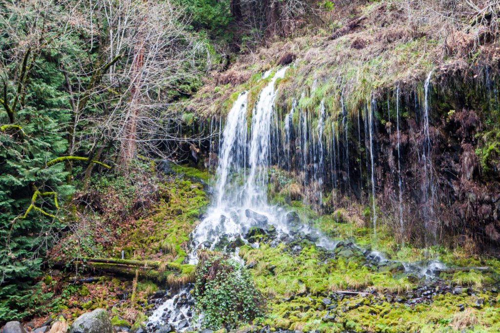 Hiking Mossbrae Falls