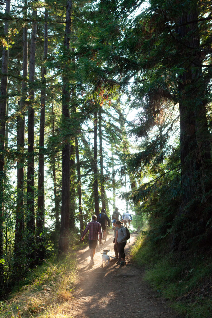 Sequoia Bayview Trail Joaquin Miller Park