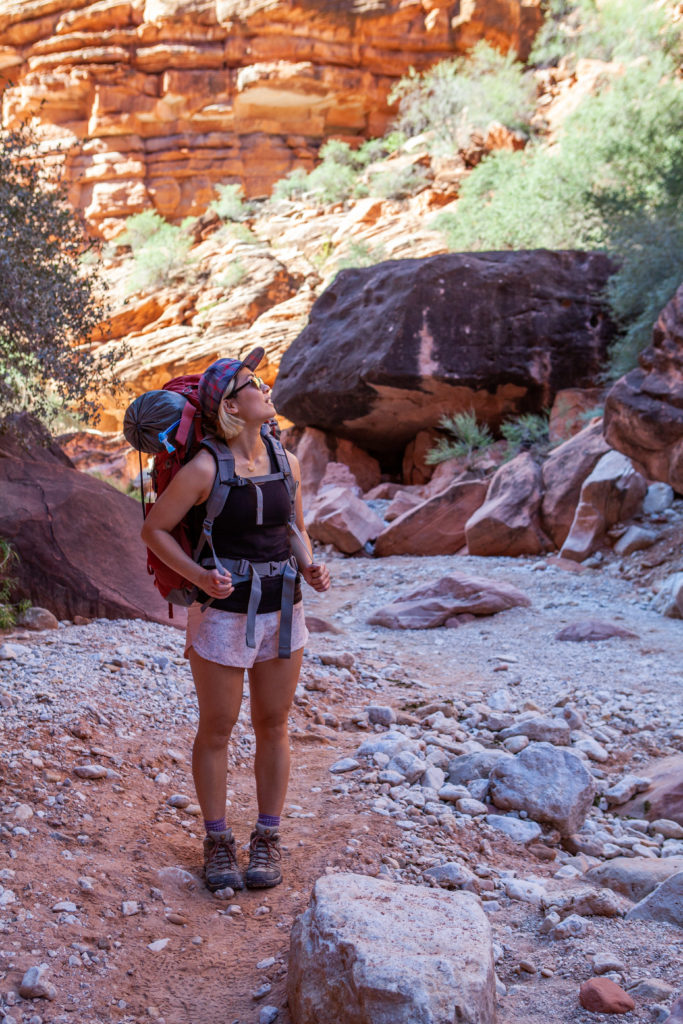 Hiking Havasupai