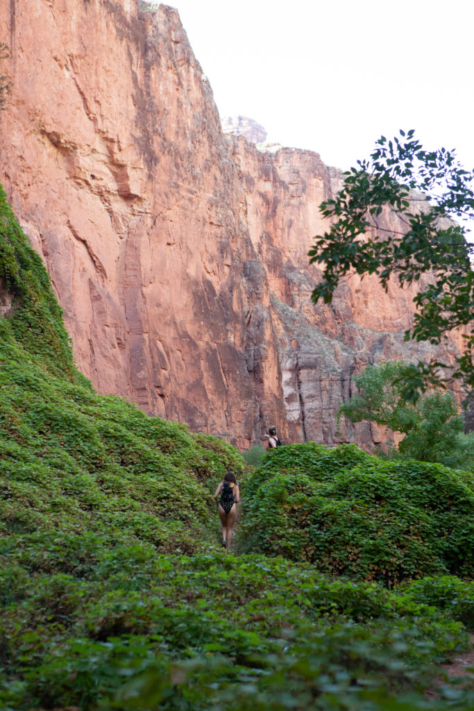 Hiking Havasupai